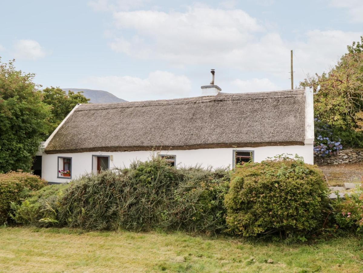 The Thatched Cottage Liscarney Kültér fotó